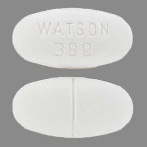 WATSON 388 2,5-500